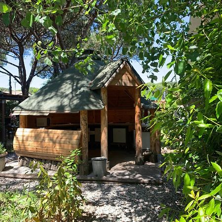 Camping Dolce Sole Marina di Massa Kültér fotó