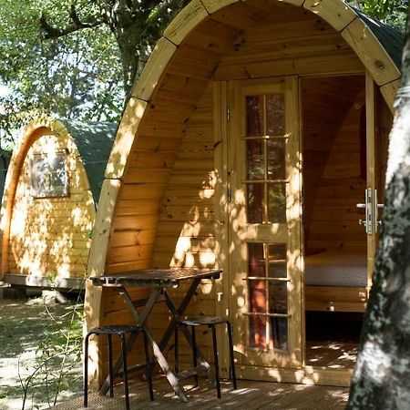 Camping Dolce Sole Marina di Massa Kültér fotó