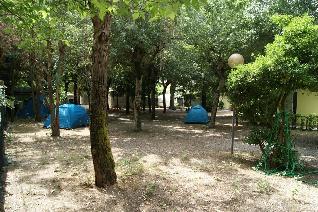 Camping Dolce Sole Hotel Marina di Massa Szoba fotó