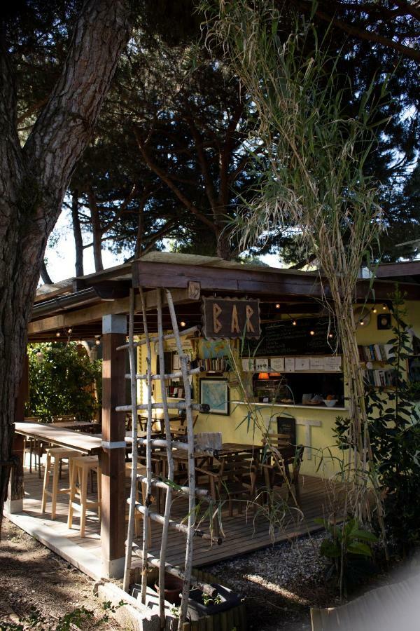 Camping Dolce Sole Marina di Massa Kültér fotó