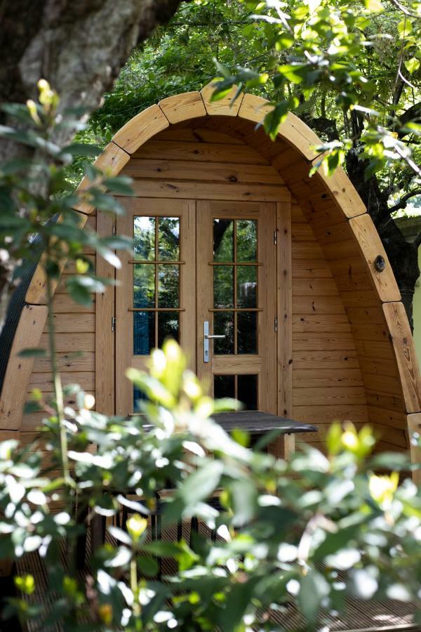 Camping Dolce Sole Marina di Massa Kültér fotó