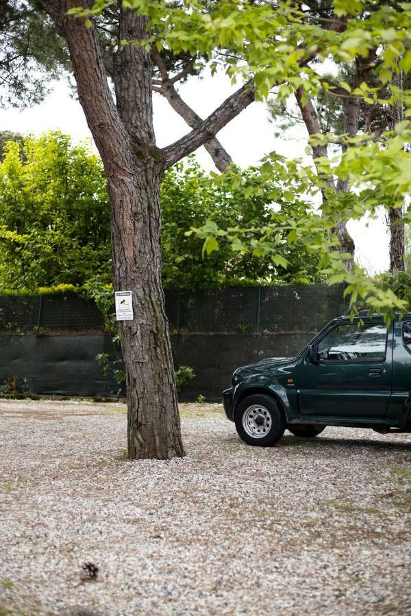 Camping Dolce Sole Marina di Massa Kültér fotó